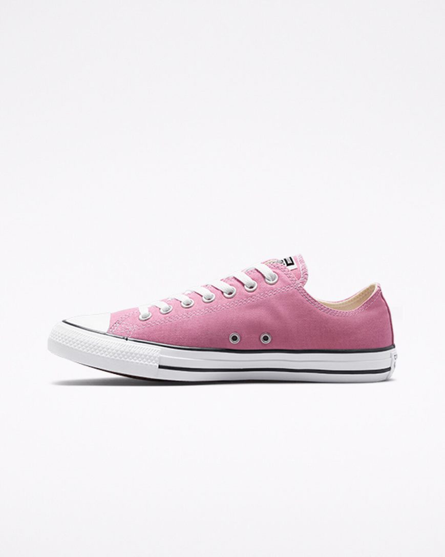 Pánské Boty Nízké Converse Chuck Taylor All Star Seasonal Color Růžové | CZ YJLG94